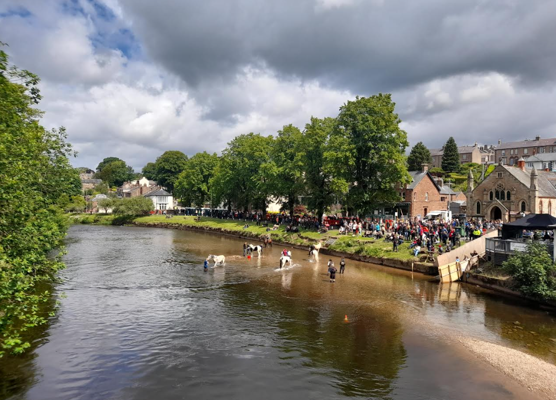 Horses in Eden River, Appleby Horse Fair
