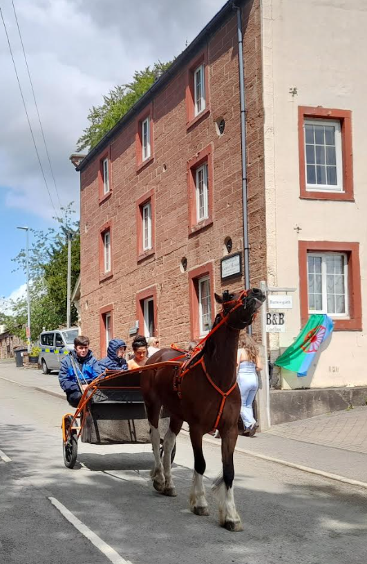 Bowtop caravan, Fair Hill, Appleby Horse Fair